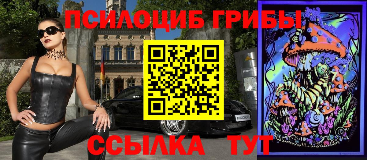 Галлюциногенные грибы Psilocybine cubensis Арсеньев